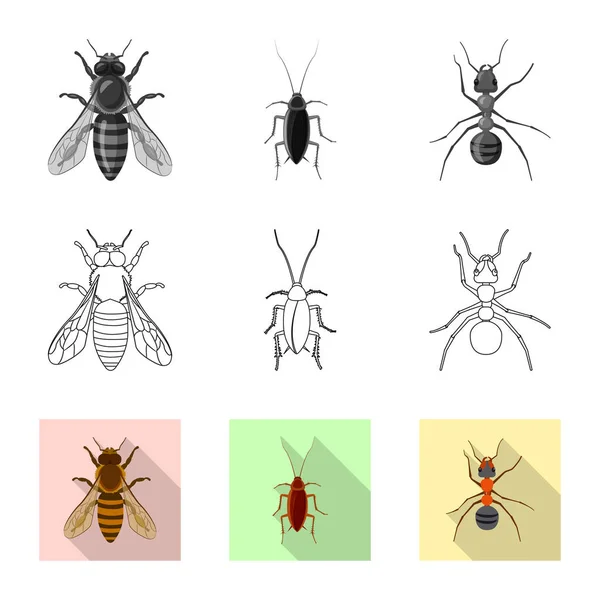 Vektorillustration von Insekten- und Fliegensymbol. Set von Insekten- und Elementlagersymbol für das Netz. — Stockvektor