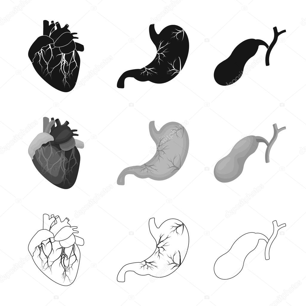 Isolated object of body and human sign. Collection of body and medical stock vector illustration.