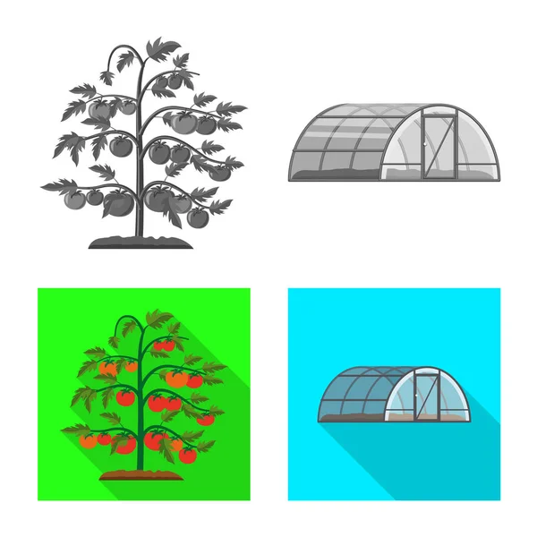 温室和植物图标的向量例证。一套温室和花园股票符号的网站. — 图库矢量图片
