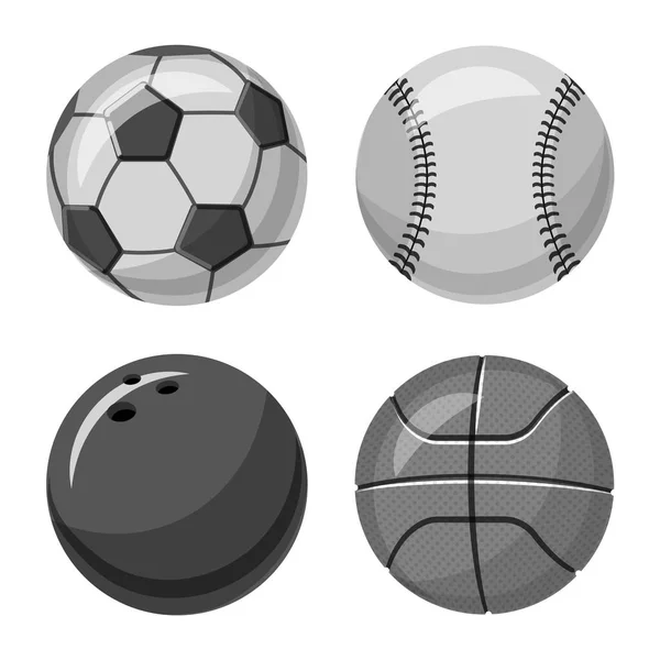 Isolationsobjekt des Sports und Ball-Ikone. Set von Sport und athletischen Aktienvektoren Illustration. — Stockvektor