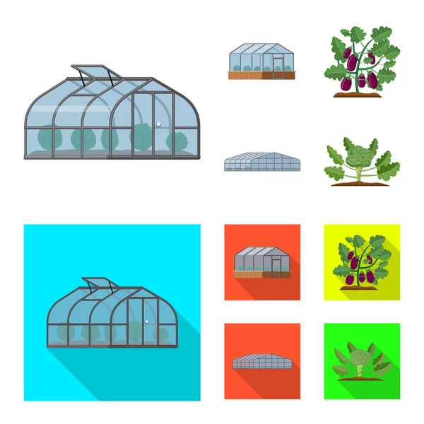 Na białym tle obiekt roślin cieplarnianych i logo. Kolekcja cieplarnianych i ogród symbol giełdowy dla sieci web. — Wektor stockowy