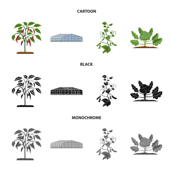 Isoliertes Objekt des Gewächshauses und Pflanzensymbols. Sammlung von Gewächshaus- und Gartenvektorsymbolen für Aktien. — Stockvektor