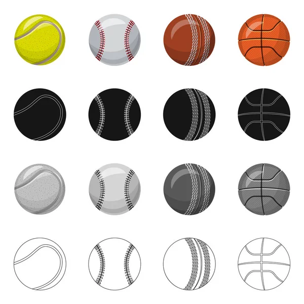 Illustrazione vettoriale dello sport e del segno della palla. Raccolta di sport e atletica simbolo stock per il web . — Vettoriale Stock