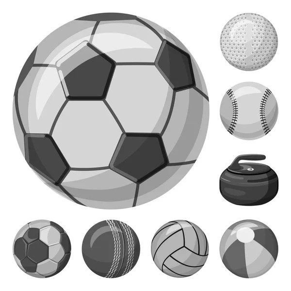 Векторная иллюстрация значка спорта и мяча. Коллекция спортивного и спортивного инвентаря . — стоковый вектор