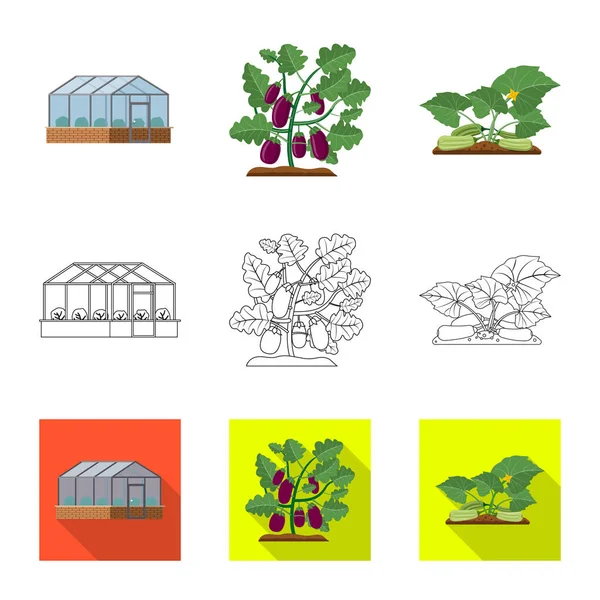 温室和植物标志的矢量设计 温室和庭院股票载体例证的汇集 — 图库矢量图片