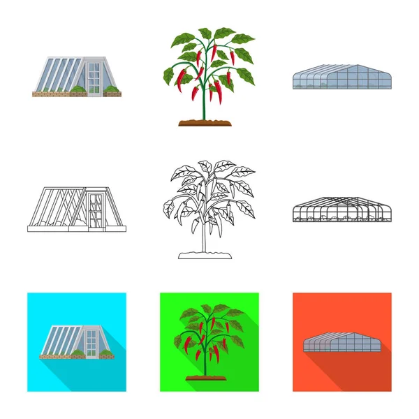Ilustracja wektorowa roślin cieplarnianych i ikony. Zestaw cieplarnianych i ogród wektor ikona na magazynie. — Wektor stockowy