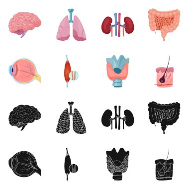 Vücut ve insan simge vektör Illustration. Vücut ve hisse senedi için tıbbi vektör ikon koleksiyonu.