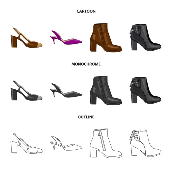 Vektorillustration von Schuhen und Frauensymbol. Kollektion von Schuhen und Fußstock-Vektorillustration. — Stockvektor