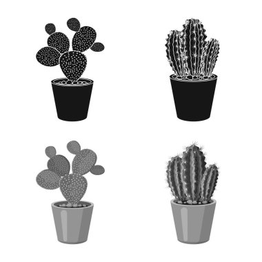 Kaktüs ve pot simgesi yalıtılmış nesne. Kaktüs ve hisse senedi için kaktüsler vektör simge kümesi.