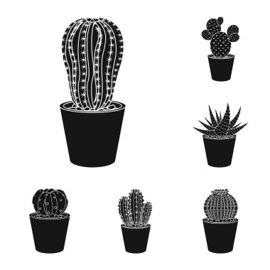 Kaktüs ve pot işareti tasarımını vektör. Kaktüs ve web için kaktüsler hisse senedi simgesi.
