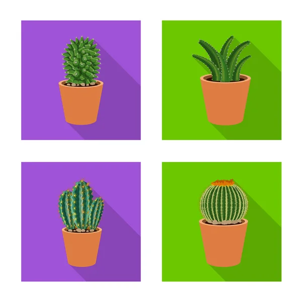 Vector illustration of cactus and pot sign. Collection of cactus and cacti stock vector illustration. — Stock Vector