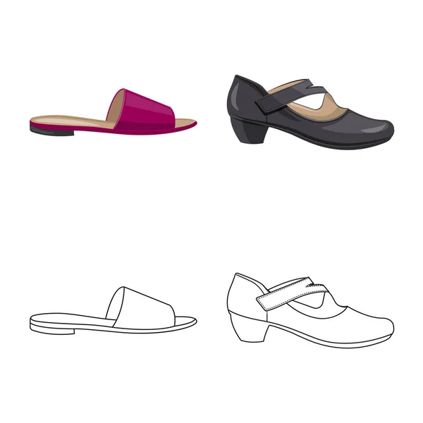 Vektorillustration av skodon och kvinna tecken. Uppsättning av skor och fot vektor ikonen för lager. — Stock vektor