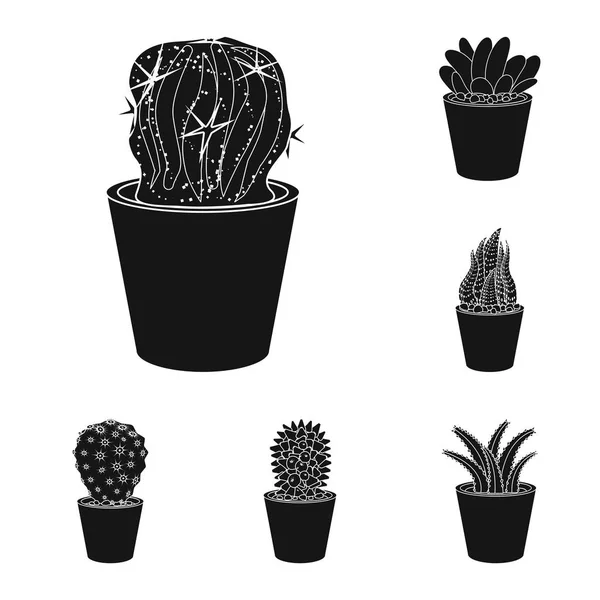Diseño vectorial de cactus y logotipo del pote. Colección de cactus y cactus stock vector ilustración . — Archivo Imágenes Vectoriales