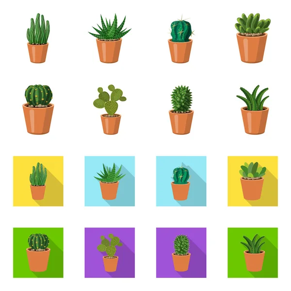 Diseño vectorial de cactus y logotipo del pote. Conjunto de cactus y cactus vector icono para stock . — Archivo Imágenes Vectoriales