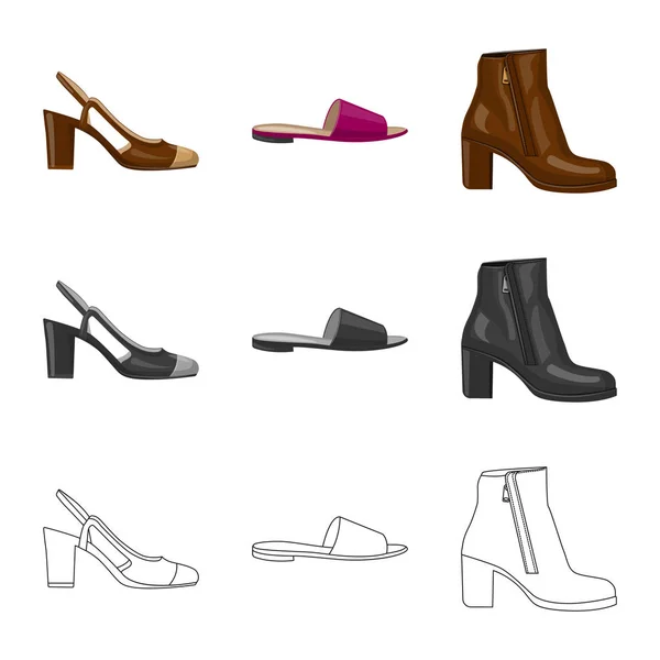 Vektorillustration av skodon och kvinna ikonen. Insamling av skor och fot vektor ikonen för lager. — Stock vektor