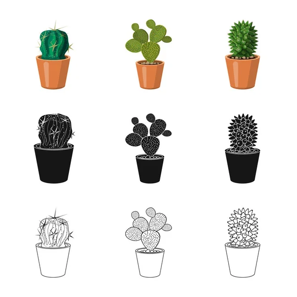 Objeto aislado de cactus y signo de maceta. Colección de cactus y cactus vector icono para stock . — Archivo Imágenes Vectoriales