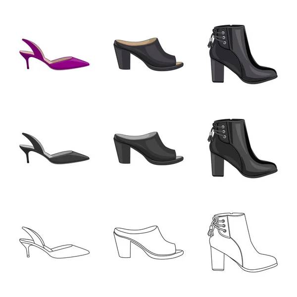 Isolated object of footwear and woman icon. Collection of footwear and foot vector icon for stock. — Stock Vector