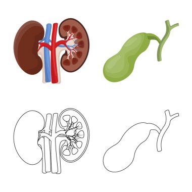 Vücut ve insan işareti vektör tasarımı. Vücut ve web için tıbbi hisse senedi simgesi toplama.