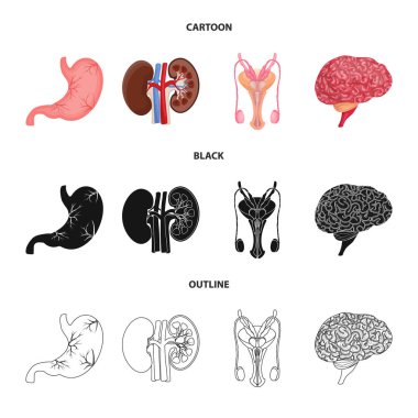 Vücut ve insan simge vektör tasarımı. Vücut ve hisse senedi için tıbbi vektör simge kümesi.
