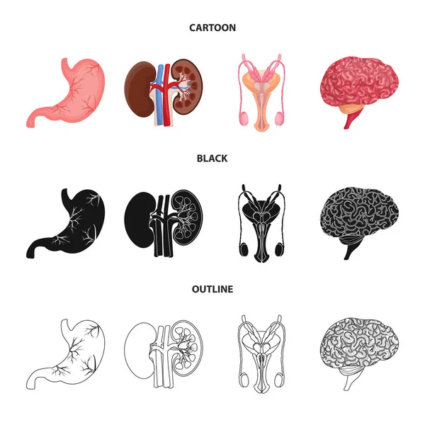 体と人間のアイコンのベクター デザイン。体とストックの医療ベクター アイコン セット. — ストックベクタ