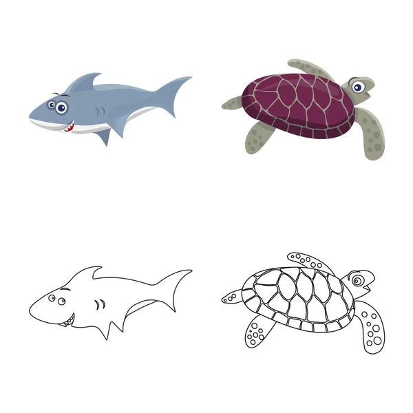 Diseño vectorial de mar y signo animal. Conjunto de símbolo de stock marino y marino para web . — Vector de stock