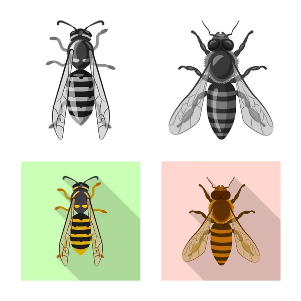 Ilustración vectorial del icono de insectos y moscas. Colección de insectos y vector de stock de elementos ilustración . — Vector de stock