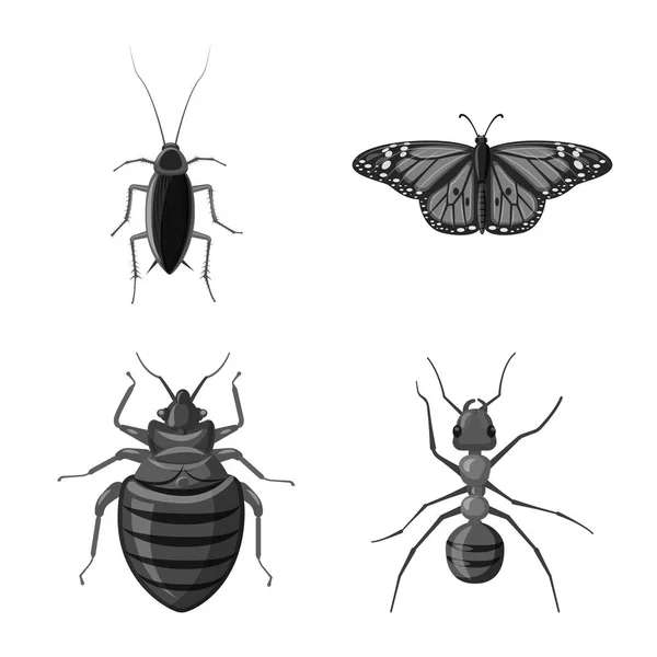 昆虫とフライのシンボルのベクター イラストです。昆虫と要素の株式ベクトル図のセット. — ストックベクタ