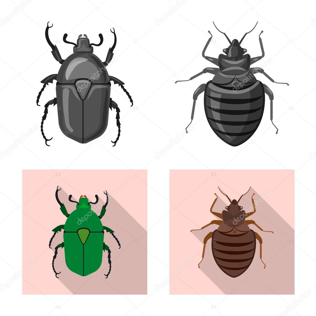 Vector illustration of insect and fly logo. Collection of insect and element stock symbol for web.
