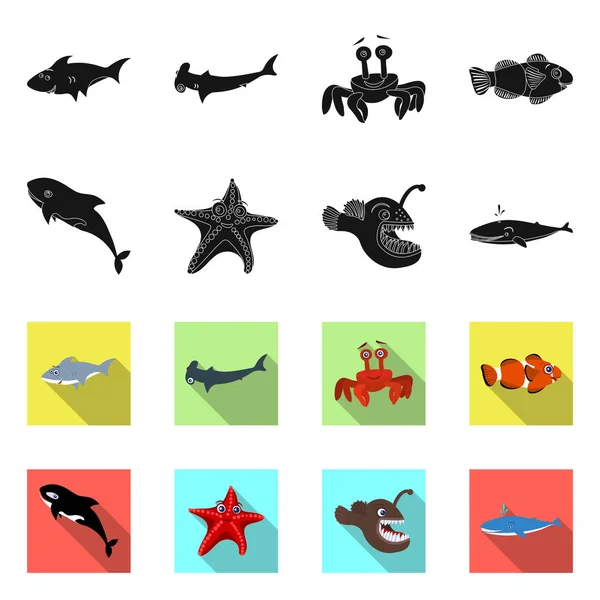 Diseño vectorial de mar y símbolo animal. Colección de mar y vector marino icono para stock . — Vector de stock