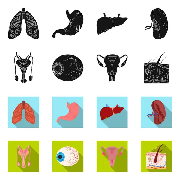 Conception vectorielle du corps et du symbole humain. Ensemble d'icône de corps et de vecteur médical pour stock . — Image vectorielle