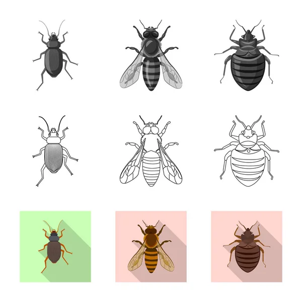 Isoliertes Objekt mit Insekten- und Fliegenlogo. Sammlung von Insekten- und Elementlagersymbolen für das Netz. — Stockvektor