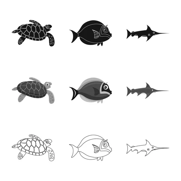 Objeto aislado del icono del mar y los animales. Conjunto de ilustración de vectores marinos y marinos . — Vector de stock