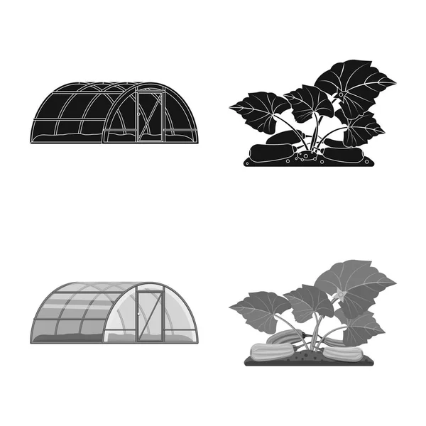 Wektor projektowania znaku cieplarnianych i roślin. Kolekcja cieplarnianych i ogród Stockowa ilustracja wektorowa. — Wektor stockowy