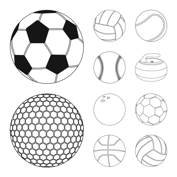 Diseño vectorial del deporte y el símbolo de la bola. Colección de deporte y el icono del vector deportivo para la acción . — Vector de stock