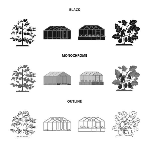 Izolovaný objekt skleník a rostlin znamení. Sada skleník a zahradní vektorové ilustrace. — Stockový vektor
