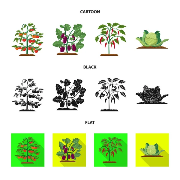 Ilustración vectorial del icono de invernadero y planta. Colección de icono de vector de invernadero y jardín para stock . — Vector de stock