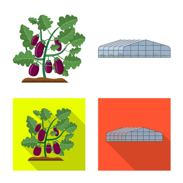 Projekt wektor logo cieplarnianych i roślin. Zestaw cieplarnianych i ogród symbol giełdowy dla sieci web. — Wektor stockowy