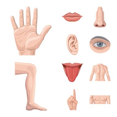 İnsan ve yarım simge vektör Illustration. İnsan kümesi ve hisse senedi için kadın vektör simgesi.