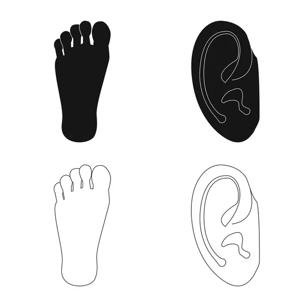 Illustration vectorielle de l'icône humaine et des pièces. Collection de l'homme et la femme stock symbole pour le web . — Image vectorielle