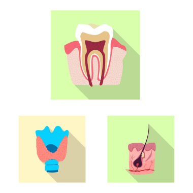 Vücut ve insan izole nesne. Vücut ve hisse senedi için tıbbi vektör simge kümesi.