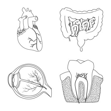 Vücut ve insan simge vektör çizimi. Vücut ve hisse senedi için tıbbi vektör simge kümesi.