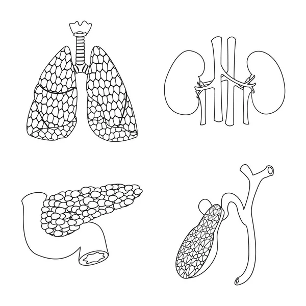 Illustration vectorielle du corps et du logo humain. Ensemble de corps et symbole de stock médical pour la toile . — Image vectorielle