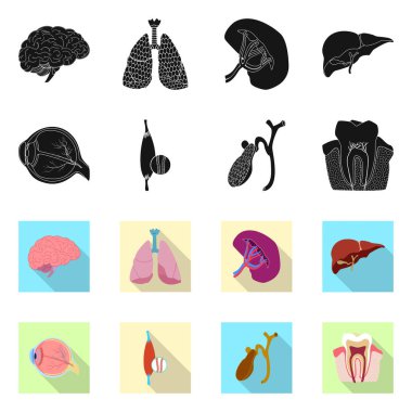 Vücut ve insan işareti yalıtılmış nesne. Vücut ve tıbbi hisse senedi vektör çizim koleksiyonu.