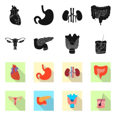 Vücut ve insan logo yalıtılmış nesne. Vücut ve hisse senedi için tıbbi vektör ikon koleksiyonu.