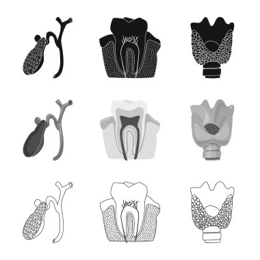 Vücut ve insan simge vektör çizimi. Vücut ve hisse senedi için tıbbi vektör simge kümesi.