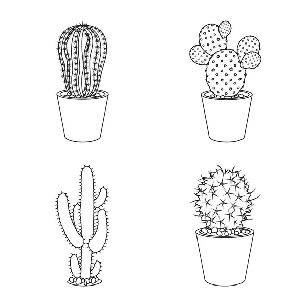 Vektorillustration Von Kaktus Und Topfschild Set Von Kakteen Und Kakteen — Stockvektor