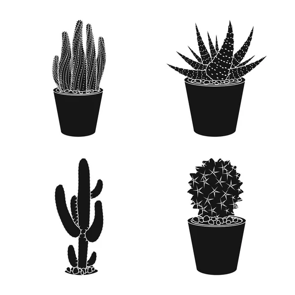Diseño vectorial de cactus y logotipo del pote. Colección de cactus y cactus vector icono para stock . — Archivo Imágenes Vectoriales
