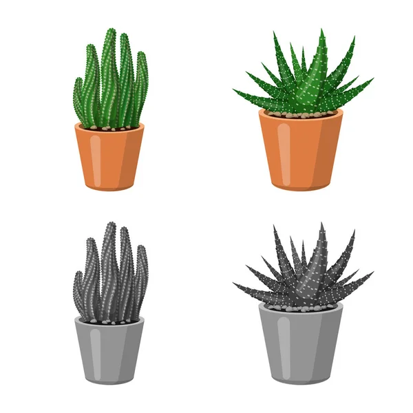 Illustration vectorielle du cactus et signe du pot. Collection de cactus et de cactus illustration vectorielle de stock . — Image vectorielle