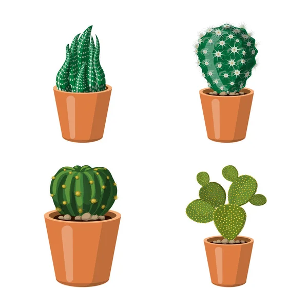 Illustrazione vettoriale del segno del cactus e del vaso. Collezione di cactus e cactus stock symbol per il web . — Vettoriale Stock