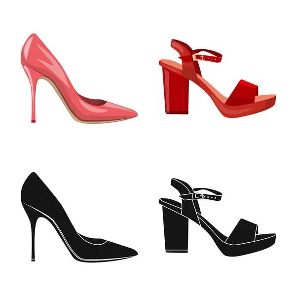 Design vettoriale di calzature e icona donna. Raccolta di calzature e simbolo di provvista di piede per web . — Vettoriale Stock